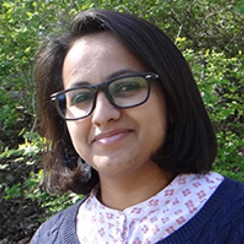 Amal Nasser