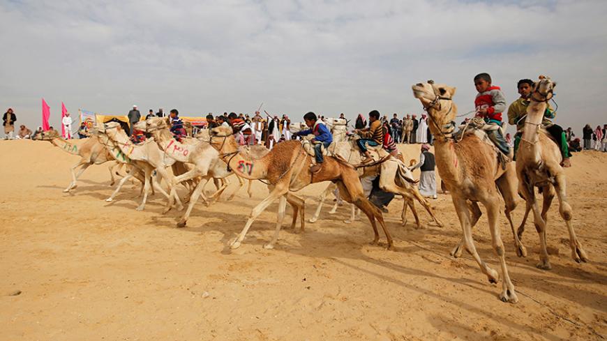 Jockeys, most of whom are children, compete on their mounts at the starting line during the opening of the International Camel Racing festival at the Sarabium desert in Ismailia, Egypt, March 21, 2017. Picture taken March 21, 2017. REUTERS/Amr Abdallah Dalsh - RTX324AE